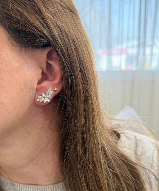 Multishape Earrings Leaves