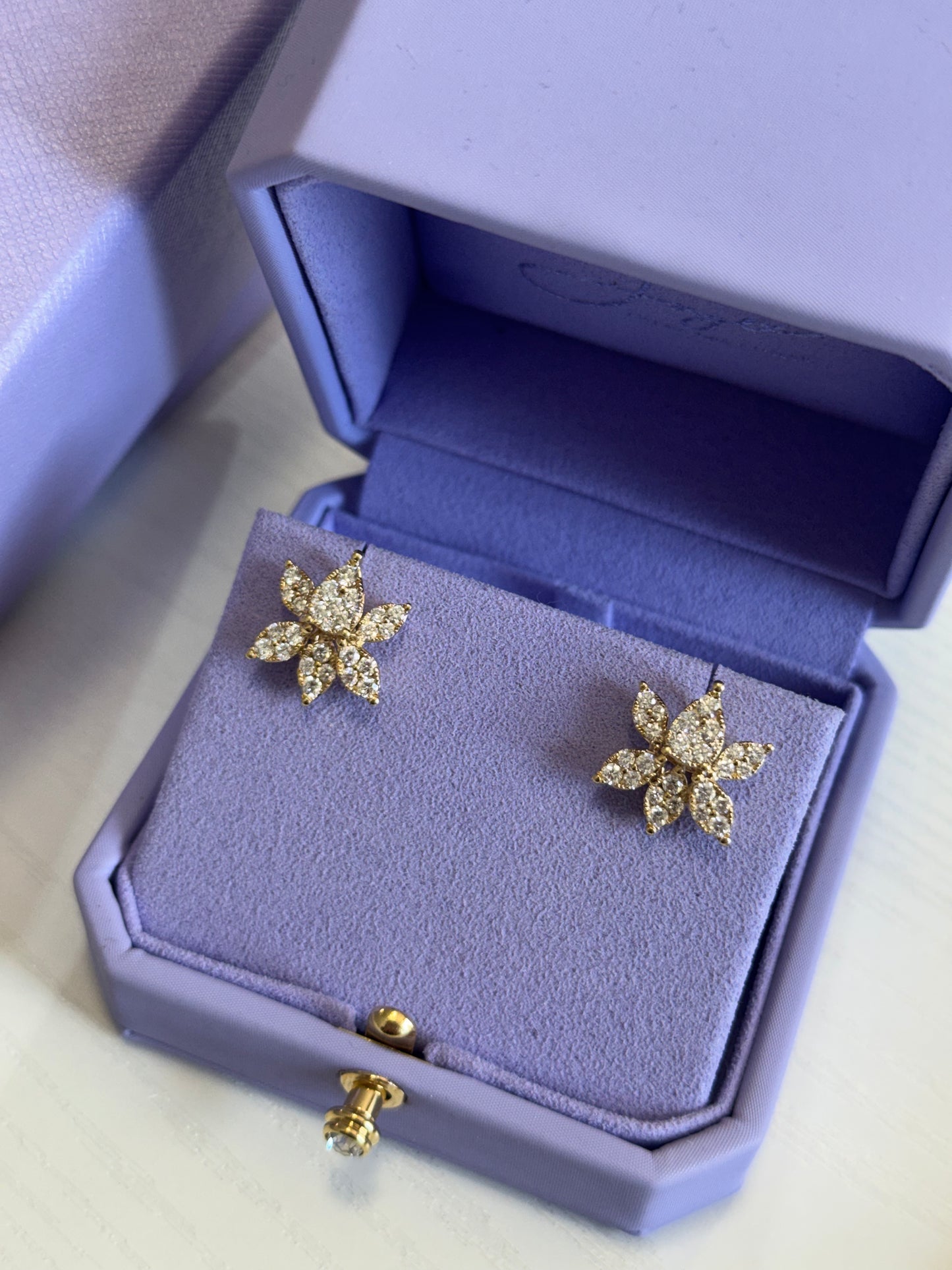 Aretes moonlight pave 6 hojas