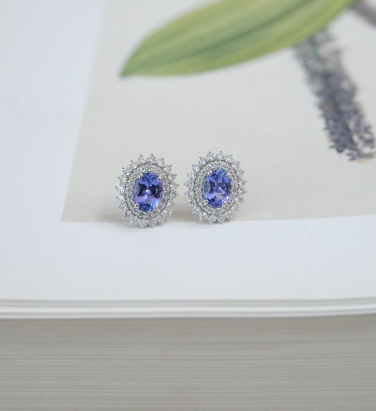 Aretes tanzanita oval doble halo